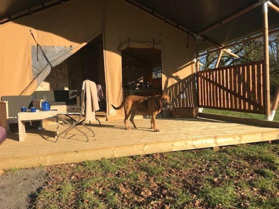 Lapwing Safari Tent 첼튼엄 외부 사진